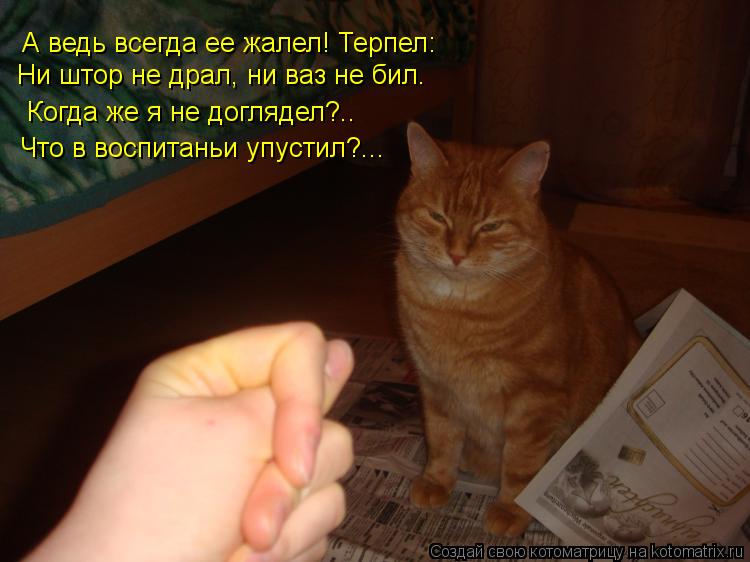 Ни штор не драл, ни ваз не бил. Когда же я не доглядел?.. Что в воспитаньи упустил?... А ведь всегда ... Котоматрица: Ни штор не драл, ни ваз не бил. Когда же я не доглядел?.. Что в воспитаньи упустил?... А ведь всегда ее жалел! Терпел: