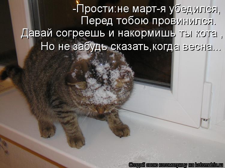 Котоматрица: -Прости:не март-я убедился, Перед тобою провинился. Давай согреешь и накормишь ты кота , Но не забудь сказать,когда весна...