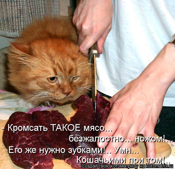 Котоматрица: - Кромсать ТАКОЕ мясо...  безжалостно... ножом!... Его же нужно зубками!.. Умн...  Кошачьими при том!..