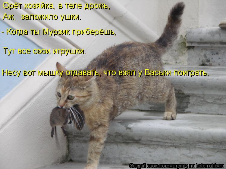 Котоматрица: Орёт хозяйка, в теле дрожь, Аж,  заложило ушки. - Когда ты Мурзик приберёшь, Тут все свои игрушки. Несу вот мышку отдавать, что взял у Васьки по