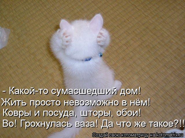 Котоматрица: - Какой-то сумасшедший дом! Во! Грохнулась ваза! Да что же такое?!! Ковры и посуда, шторы, обои! Жить просто невозможно в нём!