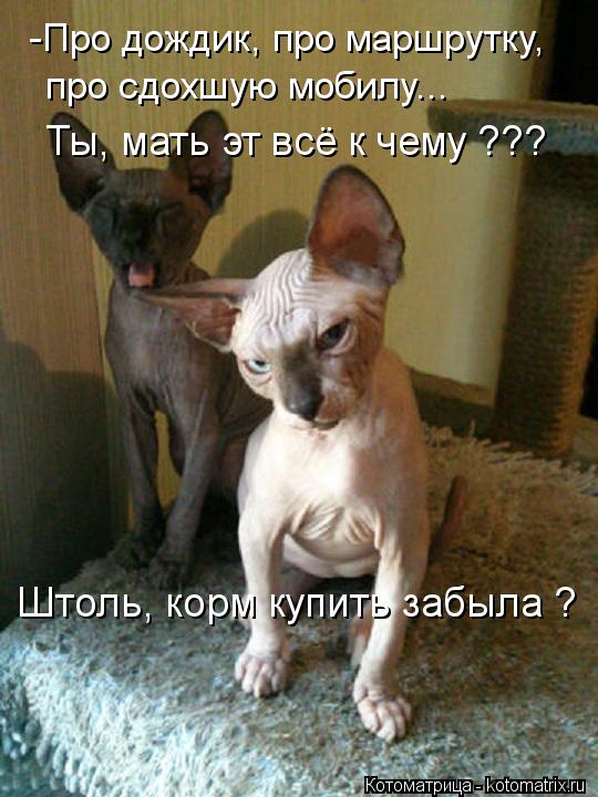 Посмеялся сам - поделись с другом!!!