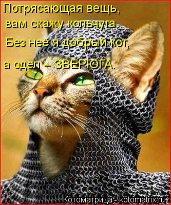Котоматрица: Потрясающая вещь,  вам скажу кольчуга. Без неё я добрый кот,  а одел – ЗВЕРЮГА.
