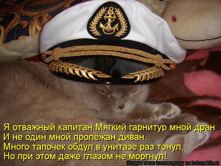 Котоматрица: Я отважный капитан.Мягкий гарнитур мной дран И не один мной пролёжан диван. Много тапочек обдул,в унитазе раз тонул, Но при этом даже глазом 
