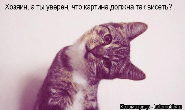 Котоматрица: Хозяин, а ты уверен, что картина должна так висеть?..