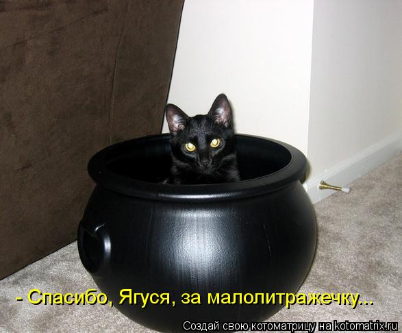 Котоматрица: - Спасибо, Ягуся, за малолитражечку...