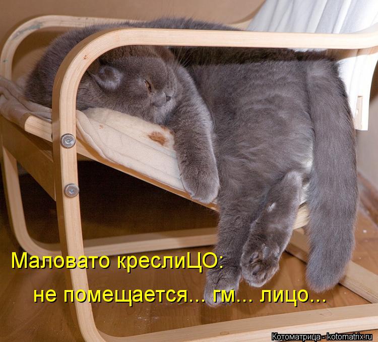 Маловато креслиЦО: не помещается... гм... лицо...... Котоматрица: Маловато креслиЦО: не помещается... гм... лицо...