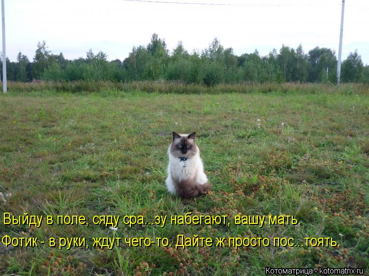 Выйду в поле, сяду сра...зу набегают, вашу мать. Фотик - в руки, ждут чего-то. Дайте ж просто пос...т... Котоматрица: Выйду в поле, сяду сра...зу набегают, вашу мать. Фотик - в руки, ждут чего-то. Дайте ж просто пос...тоять.
