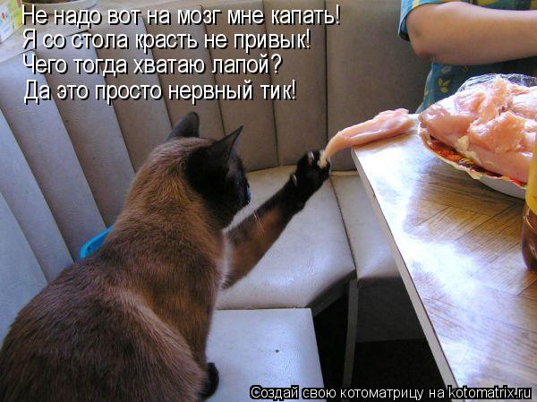 Не надо вот на мозг мне капать! Я со стола красть не привык! Чего тогда хватаю лапой? Да это просто н... Котоматрица: Не надо вот на мозг мне капать! Я со стола красть не привык! Чего тогда хватаю лапой? Да это просто нервный тик!