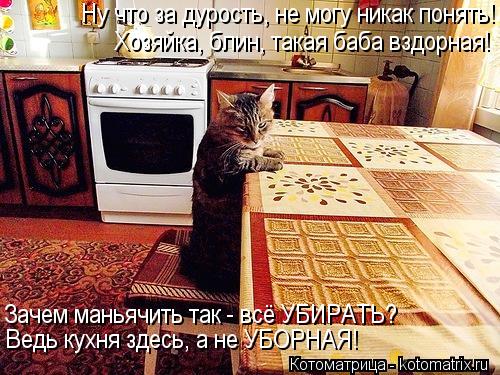 Ну что за дурость, не могу никак понять! Хозяйка, блин, такая баба вздорная! Зачем маньячить так - вс... Котоматрица: Ну что за дурость, не могу никак понять! Хозяйка, блин, такая баба вздорная! Зачем маньячить так - всё УБИРАТЬ? Ведь кухня здесь, а не УБОРНАЯ!