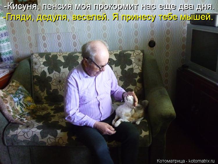-Гляди, дедуля, веселей. Я принесу тебе мышей. -Кисуня, пенсия моя прокормит нас еще два дня.... Котоматрица: -Гляди, дедуля, веселей. Я принесу тебе мышей. -Кисуня, пенсия моя прокормит нас еще два дня.