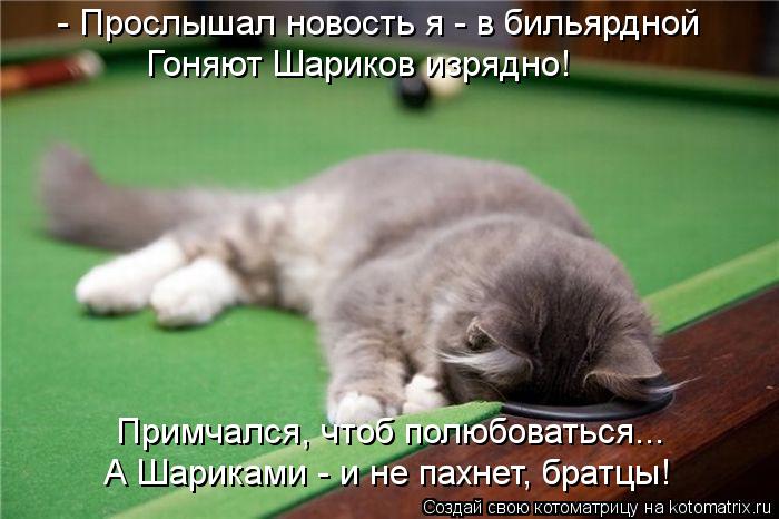 - Прослышал новость я - в бильярдной Гоняют Шариков изрядно! Примчался, чтоб полюбоваться... А Шарика... Котоматрица: - Прослышал новость я - в бильярдной Гоняют Шариков изрядно! Примчался, чтоб полюбоваться... А Шариками - и не пахнет, братцы!