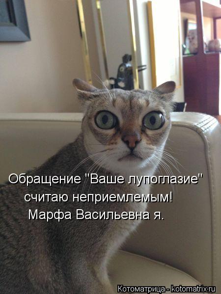 Обращение "Ваше лупоглазие" считаю неприемлемым! Марфа Васильевна я.... Котоматрица: Обращение "Ваше лупоглазие" считаю неприемлемым! Марфа Васильевна я.