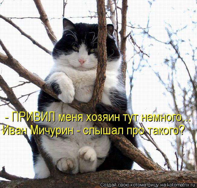 - ПРИВИЛ меня хозяин тут немного... Иван Мичурин - слышал про такого?... Котоматрица: - ПРИВИЛ меня хозяин тут немного... Иван Мичурин - слышал про такого?