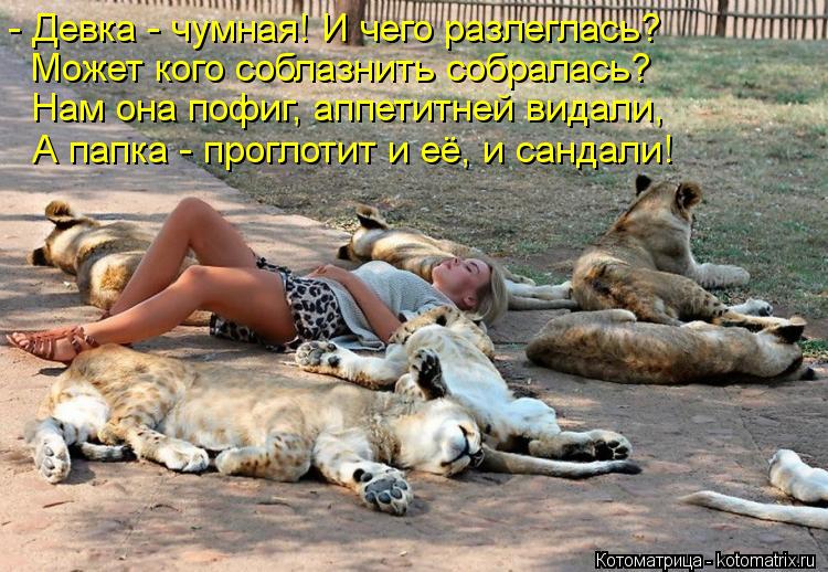 - Девка - чумная! И чего разлеглась? Может кого соблазнить собралась? Нам она пофиг, аппетитней видал... Котоматрица: - Девка - чумная! И чего разлеглась? Может кого соблазнить собралась? Нам она пофиг, аппетитней видали, А папка - проглотит и её, и сандали!