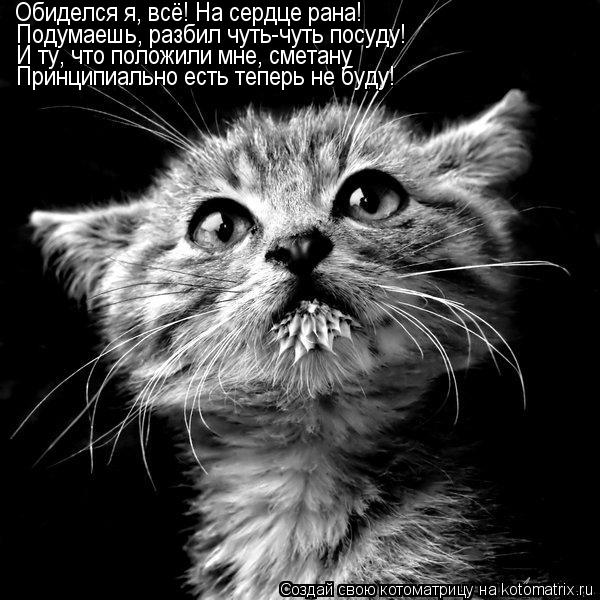 Обиделся я, всё! На сердце рана! Подумаешь, разбил чуть-чуть посуду! И ту, что положили мне, сметану ... Котоматрица: Обиделся я, всё! На сердце рана! Подумаешь, разбил чуть-чуть посуду! И ту, что положили мне, сметану Принципиально есть теперь не буду!