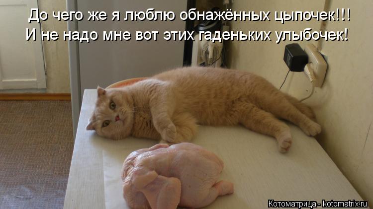 До чего же я люблю обнажённых цыпочек!!! И не надо мне вот этих гаденьких улыбочек!... Котоматрица: До чего же я люблю обнажённых цыпочек!!! И не надо мне вот этих гаденьких улыбочек!