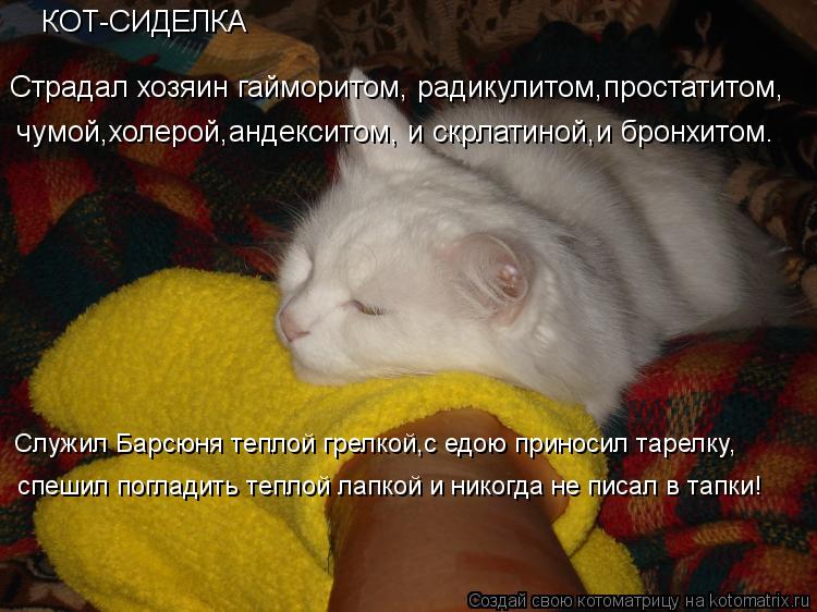Страдал хозяин гайморитом, радикулитом,простатитом, КОТ-СИДЕЛКА Служил Барсюня теплой грелкой,с едою... Котоматрица: Страдал хозяин гайморитом, радикулитом,простатитом, КОТ-СИДЕЛКА Служил Барсюня теплой грелкой,с едою приносил тарелку, спешил погладить