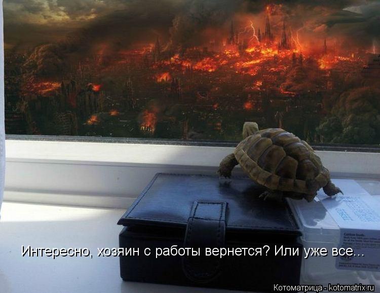Котоматрица: Интересно, хозяин с работы вернется? Или уже все...