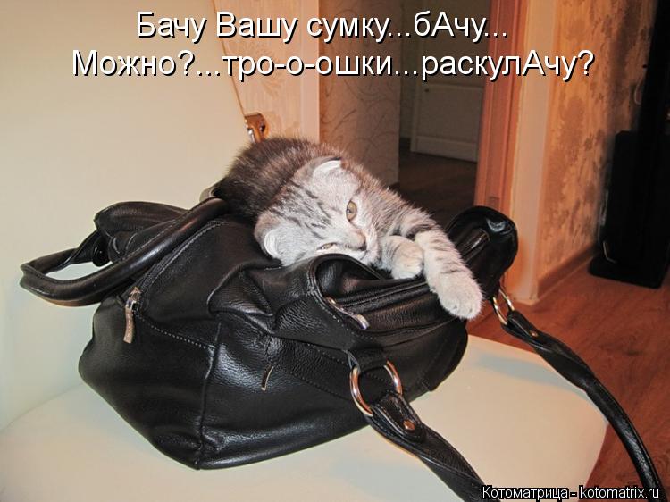 Котоматрица: Бачу Вашу сумку...бАчу... Можно?...тро-о-ошки...раскулАчу?