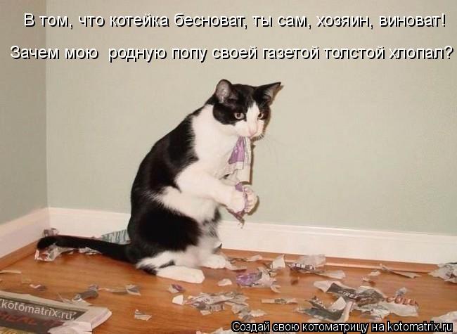 В том, что котейка бесноват, ты сам, хозяин, виноват! Зачем мою родную попу своей газетой толстой хл... Котоматрица: В том, что котейка бесноват, ты сам, хозяин, виноват! Зачем мою родную попу своей газетой толстой хлопал?