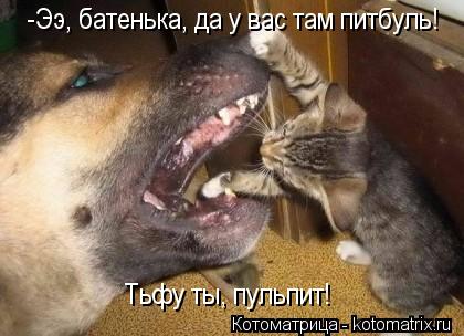 -Ээ, батенька, да у вас там питбуль! Тьфу ты, пульпит!... Котоматрица: -Ээ, батенька, да у вас там питбуль! Тьфу ты, пульпит!