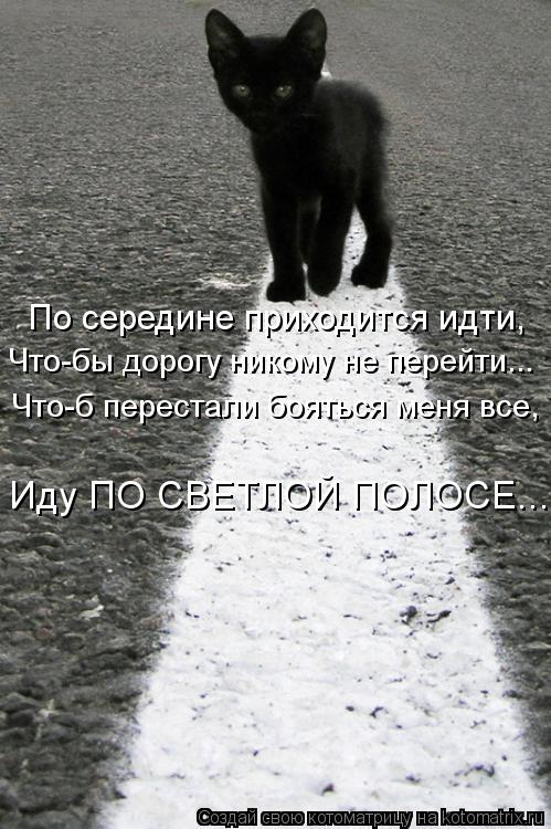 По середине приходится идти, Что-бы дорогу никому не перейти... Что-б перестали бояться меня все, Иду... Котоматрица: По середине приходится идти, Что-бы дорогу никому не перейти... Что-б перестали бояться меня все, Иду ПО СВЕТЛОЙ ПОЛОСЕ...