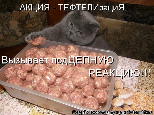 Вызывает подЦЕПНУЮ РЕАКЦИЮ!!! АКЦИЯ - ТЕФТЕЛИзациЯ...... Котоматрица: Вызывает подЦЕПНУЮ РЕАКЦИЮ!!! АКЦИЯ - ТЕФТЕЛИзациЯ...