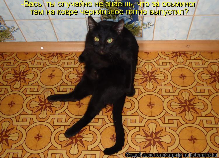 -Вась, ты случайно не знаешь, что за осьминог там на ковре чернильное пятно выпустил?... Котоматрица: -Вась, ты случайно не знаешь, что за осьминог там на ковре чернильное пятно выпустил?