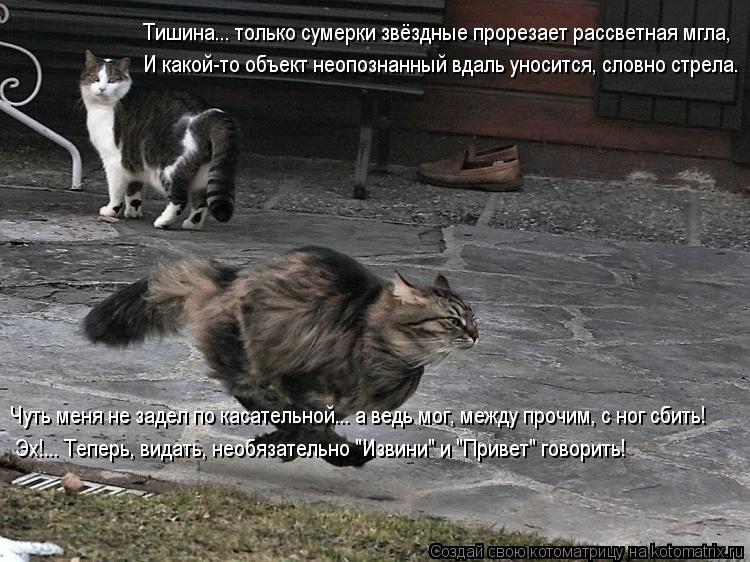 Тишина... только сумерки звёздные прорезает рассветная мгла, И какой-то объект неопознанный вдаль уно... Котоматрица: Тишина... только сумерки звёздные прорезает рассветная мгла, И какой-то объект неопознанный вдаль уносится, словно стрела. Чуть меня не заде