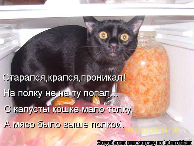 Старался,крался,проникал! На полку не на ту попал... С капусты кошке мало толку, А мясо было выше пол... Котоматрица: Старался,крался,проникал! На полку не на ту попал... С капусты кошке мало толку, А мясо было выше полкой.