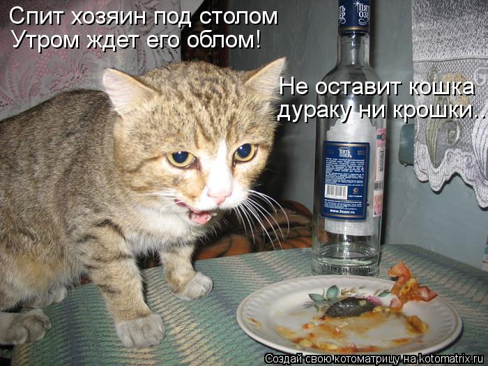 Котоматрица: Спит хозяин под столом Утром ждет его облом! Не оставит кошка дураку ни крошки..