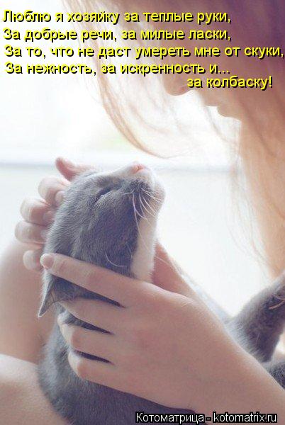 За то, что не даст умереть мне от скуки, За нежность, за искренность и... за колбаску! Люблю я хозяй... Котоматрица: За то, что не даст умереть мне от скуки, За нежность, за искренность и... за колбаску! Люблю я хозяйку за теплые руки, За добрые речи, за милые