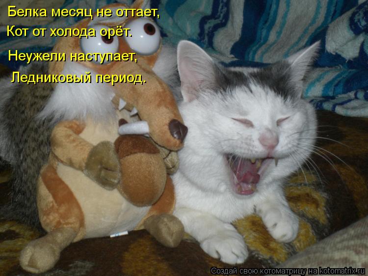 Белка месяц не оттает, Кот от холода орёт. Неужели наступает, Ледниковый период.... Котоматрица: Белка месяц не оттает, Кот от холода орёт. Неужели наступает, Ледниковый период.