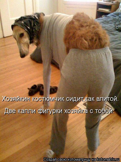 Хозяйкин костюмчик сидит,как влитой. Две капли фигурки хозяйка с тобой.... Котоматрица: Хозяйкин костюмчик сидит,как влитой. Две капли фигурки хозяйка с тобой.