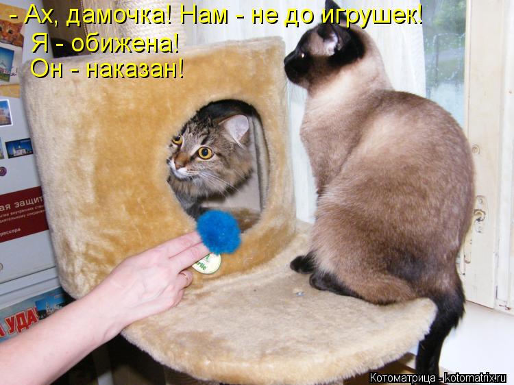 - Ах, дамочка! Нам - не до игрушек! Я - обижена! Он - наказан!... Котоматрица: - Ах, дамочка! Нам - не до игрушек! Я - обижена! Он - наказан!