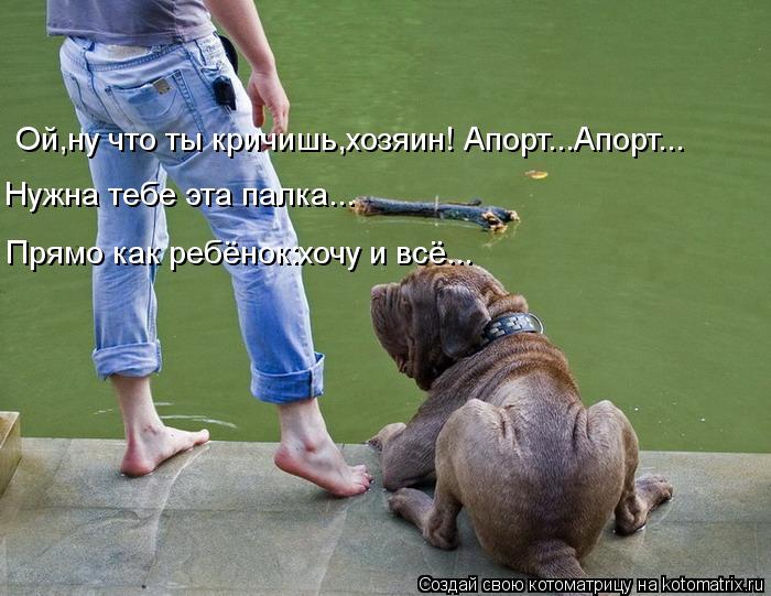 Ой,ну что ты кричишь,хозяин! Апорт...Апорт... Нужна тебе эта палка... Прямо как ребёнок:хочу и всё...... Котоматрица: Ой,ну что ты кричишь,хозяин! Апорт...Апорт... Нужна тебе эта палка... Прямо как ребёнок:хочу и всё...