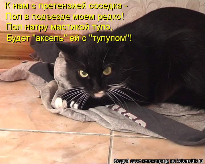 Котоматрица: К нам с претензией соседка - Пол в подъезде моем редко! Пол натру мастикой тупо, Будет "аксель" ей с "тулупом"!
