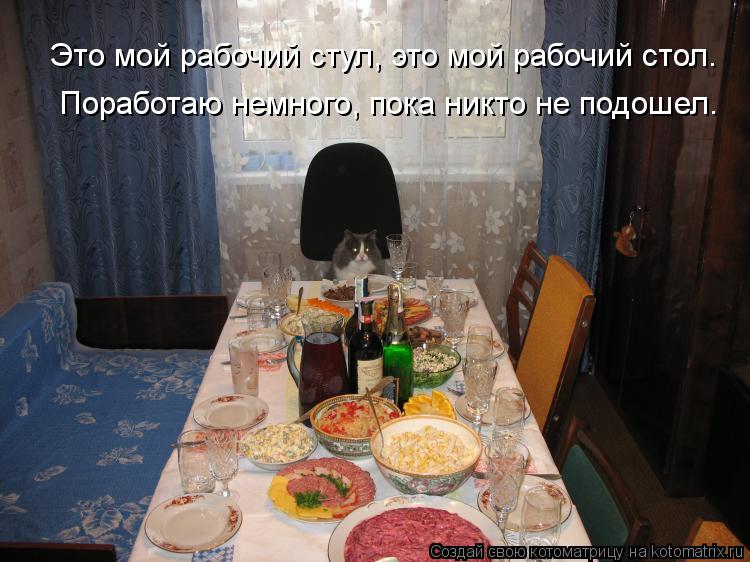 Поработаю немного, пока никто не подошел. Это мой рабочий стул, это мой рабочий стол.... Котоматрица: Поработаю немного, пока никто не подошел. Это мой рабочий стул, это мой рабочий стол.