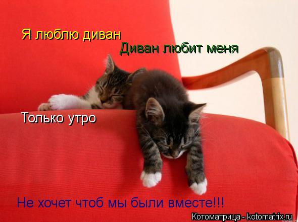 Я люблю диван Диван любит меня Только утро Не хочет чтоб мы были вместе!!!... Котоматрица: Я люблю диван Диван любит меня Только утро Не хочет чтоб мы были вместе!!!