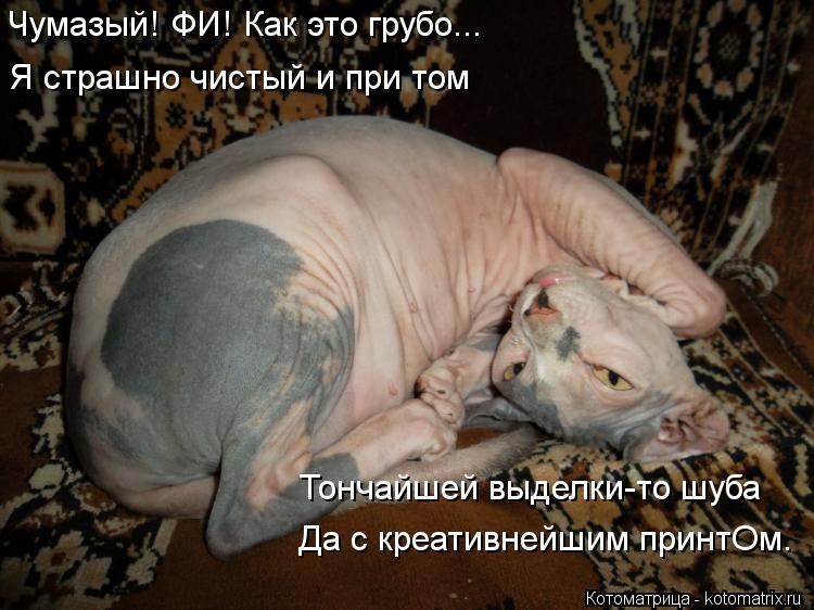 http://kotomatrix.ru/images/lolz/2012/10/30/kotomatritsa_ik.jpg