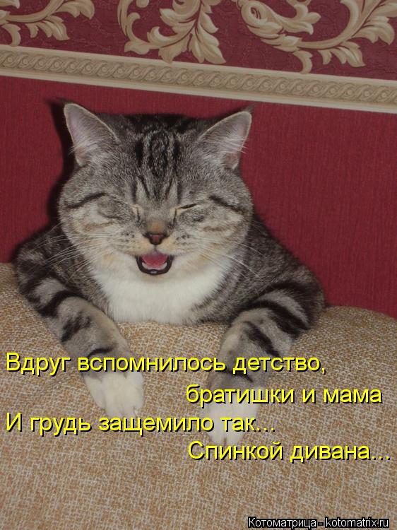 Вдруг вспомнилось детство, братишки и мама И грудь защемило так... Спинкой дивана...... Котоматрица: Вдруг вспомнилось детство, братишки и мама И грудь защемило так... Спинкой дивана...