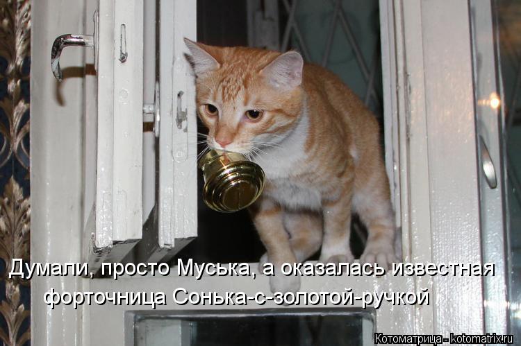 Котоматрица: Думали, просто Муська, а оказалась известная форточница Сонька-с-золотой-ручкой
