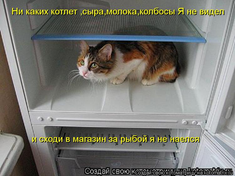 Ни каких котлет ,сыра,молока,колбосы Я не видел и сходи в магазин за рыбой я не наелся... Котоматрица: Ни каких котлет ,сыра,молока,колбосы Я не видел и сходи в магазин за рыбой я не наелся