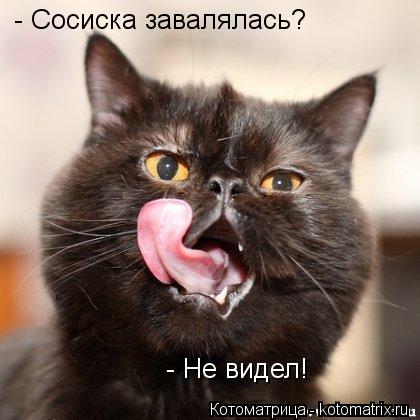 - Сосиска завалялась? - Не видел!... Котоматрица: - Сосиска завалялась? - Не видел!
