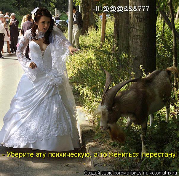- Уберите эту психическую, а то жениться перестану! -!!!@@@&&&???... Котоматрица: - Уберите эту психическую, а то жениться перестану! -!!!@@@&&&???