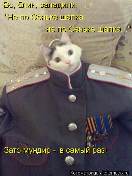 "Не по Сеньке шапка, не по Сеньке шапка..." Зато мундир - в самый раз! Во, блин, заладили:... Котоматрица: "Не по Сеньке шапка, не по Сеньке шапка..." Зато мундир - в самый раз! Во, блин, заладили: