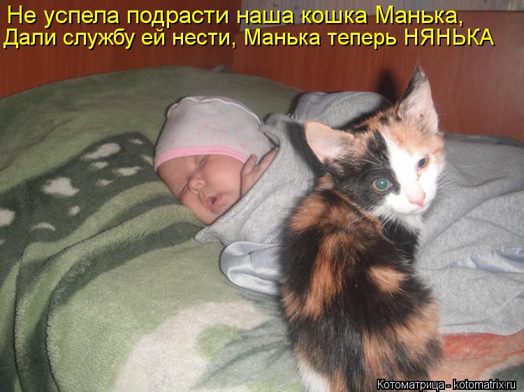 Котоматрица: Не успела подрасти наша кошка Манька, Дали службу ей нести, Манька теперь НЯНЬКА