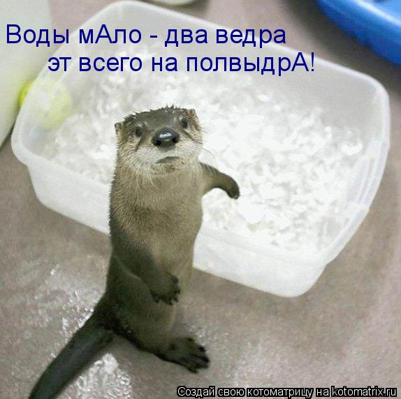 Котоматрица: Воды мАло - два ведра эт всего на полвыдрА!