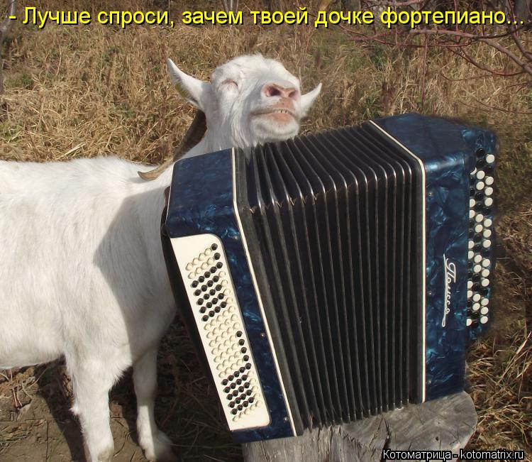 - Лучше спроси, зачем твоей дочке фортепиано...... Котоматрица: - Лучше спроси, зачем твоей дочке фортепиано...